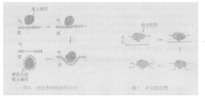 圖6、7.JPG